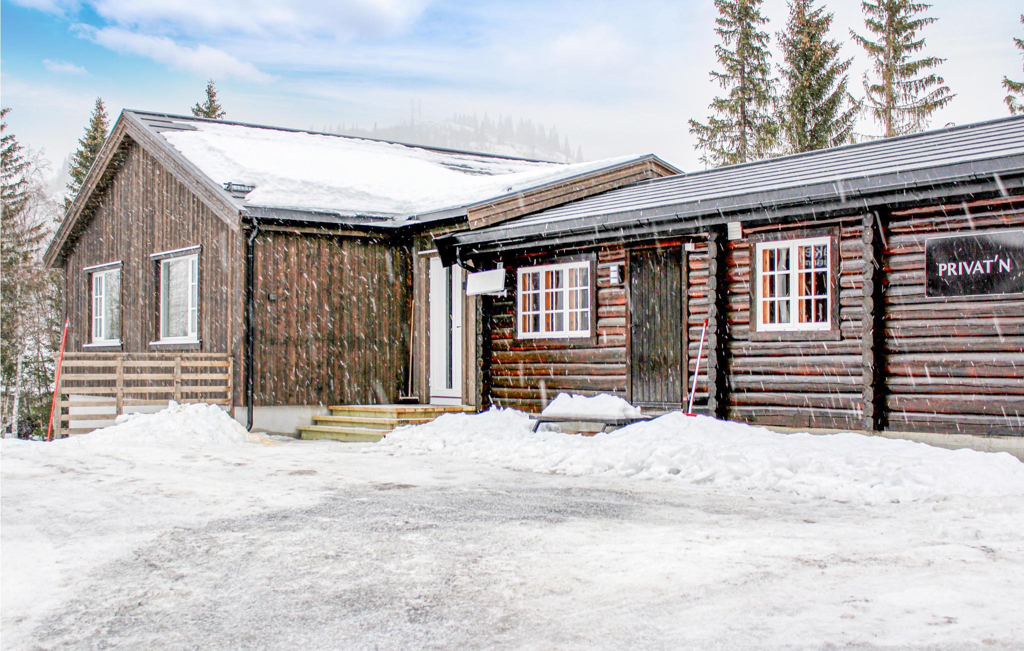 Chalet Hemsedal 143-N33311