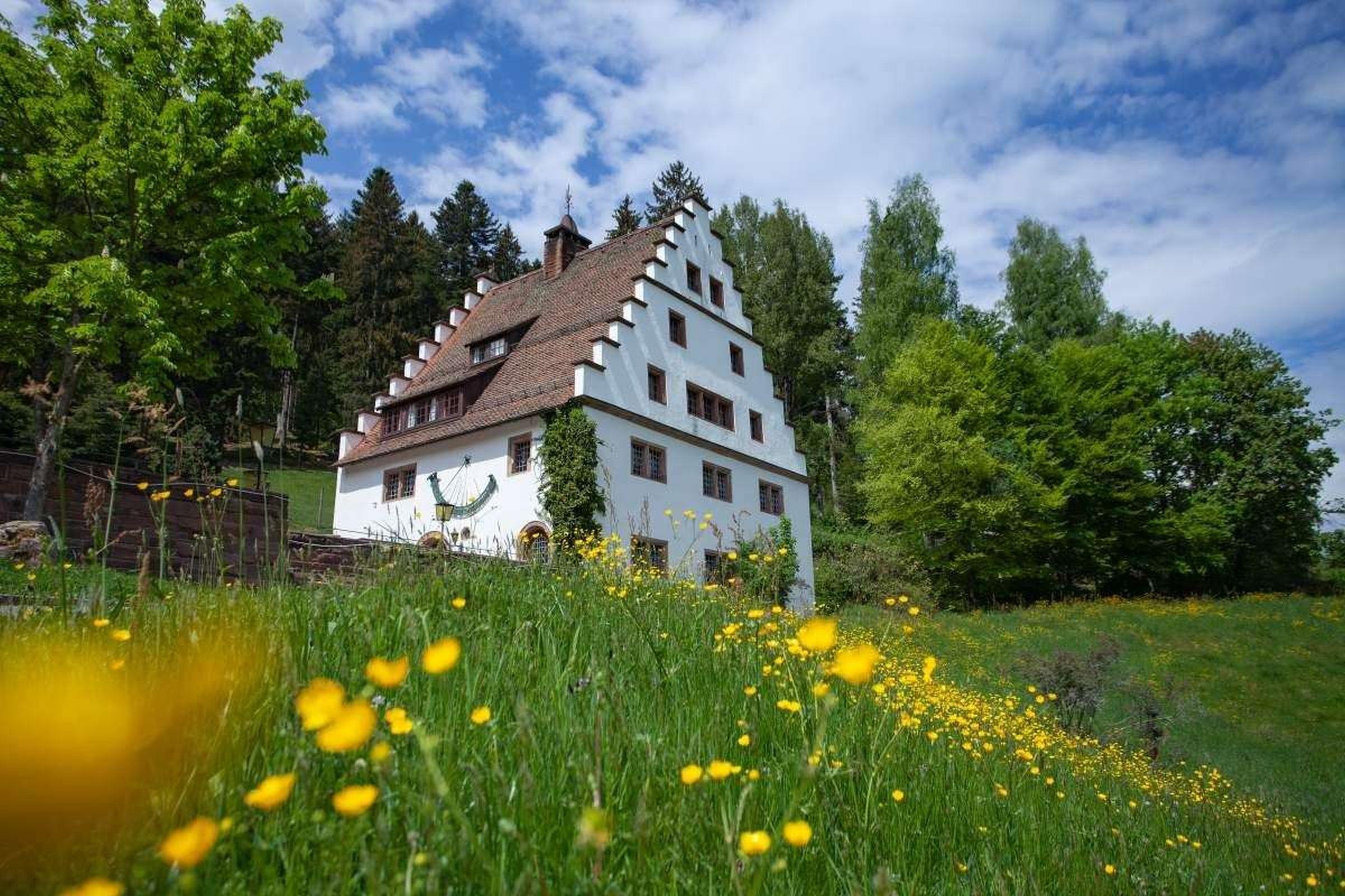 Villa Schwarzwald 512-2730446