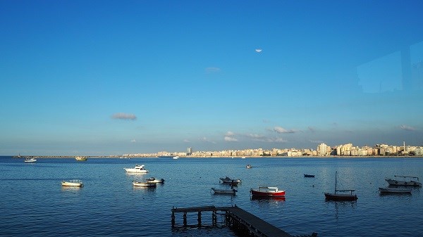 Ausblick über die Bucht auf Alexandria (Laura Beck)
