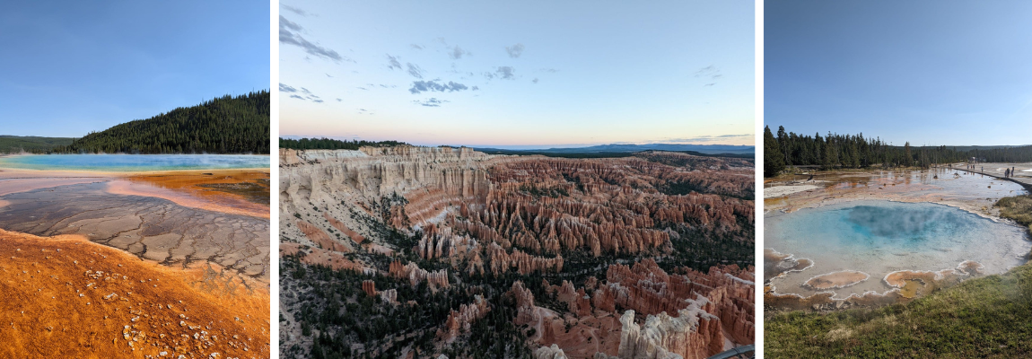 Collage USA - Sandra Rohfleisch