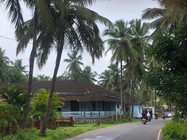F.Ortmann - Palmengesäumte Straße in Bernaulim, Goa, Indien