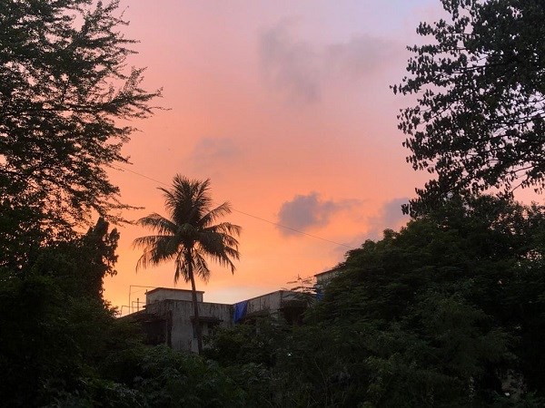 F.Ortmann - Sonnenuntergang zu Weihnachten in Kalkutta