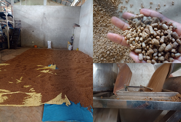 Kraftfutter Herstellung in Benin