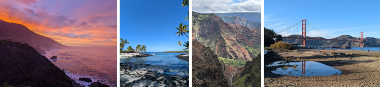 Sandra Rohfleisch - Collection 2