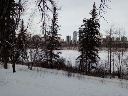 Spaziergang im Schnee mit Blick auf die Edmonton Skyline
