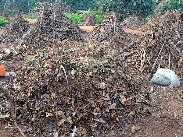 Endstadium des Kompostierungssystem auf einem Bauernhof in Benin