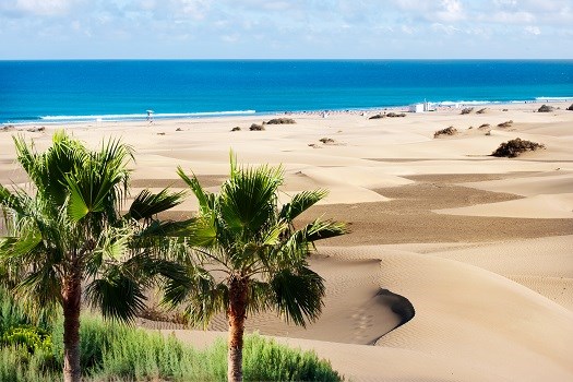Sanddünen von Maspalomas, Gran Canaria