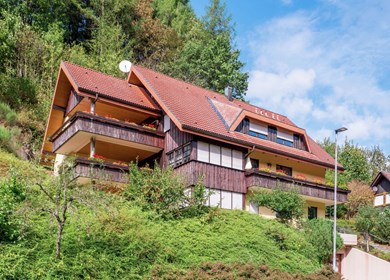 privat ferienhaus Freiburg_354-DE-77776-21