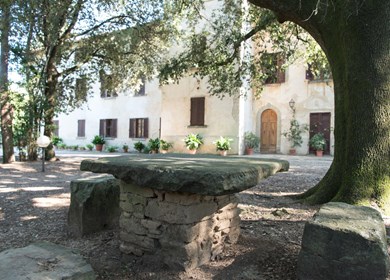 Bungalow Toskana 313-IT5288.820.1