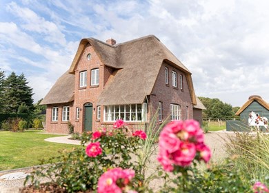 Ferienhaus Borgsum - Objekt Nr. 512-2945344