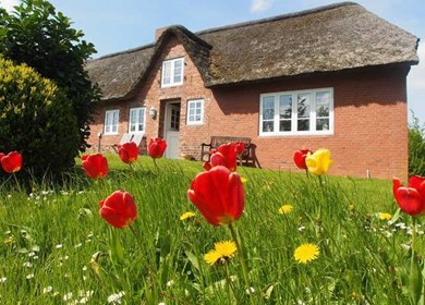 Ferienhaus Ockholm - Objekt Nr.  512-2543118